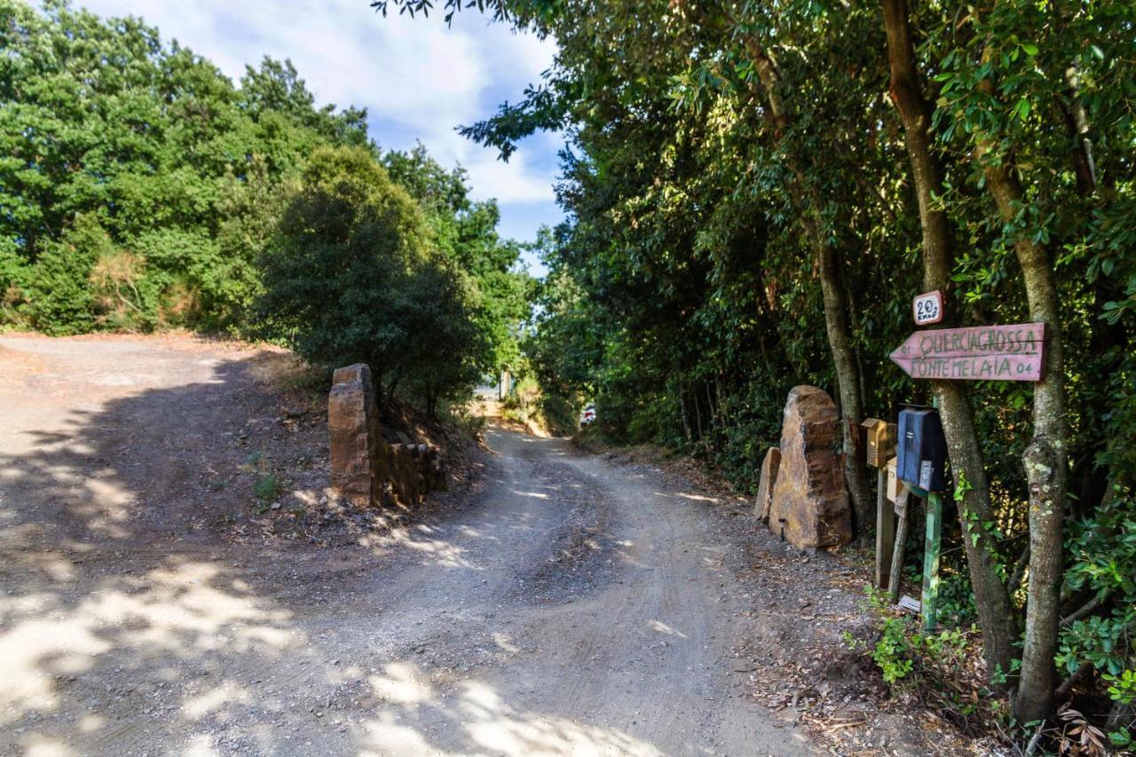 Quercia Grossa Villa Roccastrada Dış mekan fotoğraf